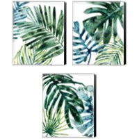Framed 'Tropical Leaf Medley 3 Piece Canvas Print Set' border=