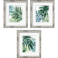Framed 'Tropical Leaf Medley 3 Piece Framed Art Print Set' border=