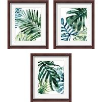 Framed 'Tropical Leaf Medley 3 Piece Framed Art Print Set' border=