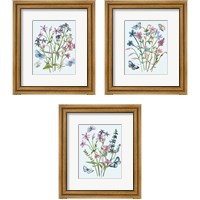 Framed 'Wildflowers Arrangements 3 Piece Framed Art Print Set' border=