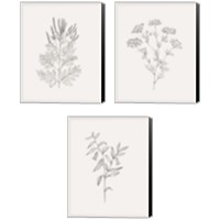 Framed Wild Foliage Sketch 3 Piece Canvas Print Set