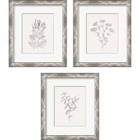 Framed 'Wild Foliage Sketch 3 Piece Framed Art Print Set' border=