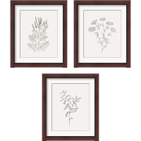 Framed Wild Foliage Sketch 3 Piece Framed Art Print Set