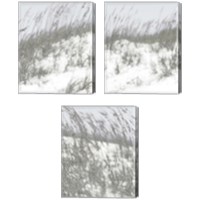 Framed 'Lush Dunes 3 Piece Canvas Print Set' border=