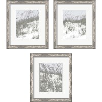 Framed 'Lush Dunes 3 Piece Framed Art Print Set' border=