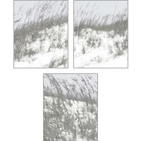 Framed 'Lush Dunes 3 Piece Art Print Set' border=