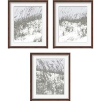 Framed 'Lush Dunes 3 Piece Framed Art Print Set' border=