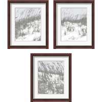 Framed 'Lush Dunes 3 Piece Framed Art Print Set' border=