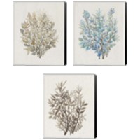 Framed 'Leaf Arrangement 3 Piece Canvas Print Set' border=