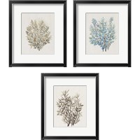 Framed 'Leaf Arrangement 3 Piece Framed Art Print Set' border=