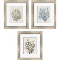 Framed 'Leaf Arrangement 3 Piece Framed Art Print Set' border=