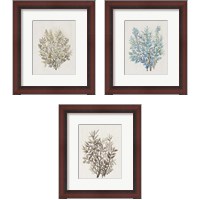 Framed 'Leaf Arrangement 3 Piece Framed Art Print Set' border=