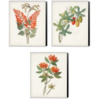 Framed 'Botanical of the Tropics 3 Piece Canvas Print Set' border=