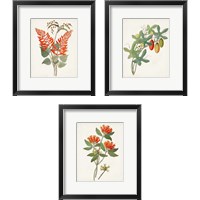 Framed Botanical of the Tropics 3 Piece Framed Art Print Set