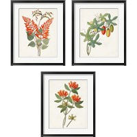 Framed 'Botanical of the Tropics 3 Piece Framed Art Print Set' border=