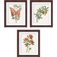 Framed 'Botanical of the Tropics 3 Piece Framed Art Print Set' border=