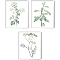 Framed 'Soft Green Botanical 3 Piece Canvas Print Set' border=