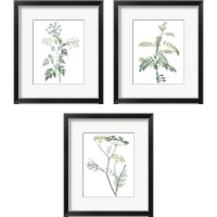 Framed Soft Green Botanical 3 Piece Framed Art Print Set