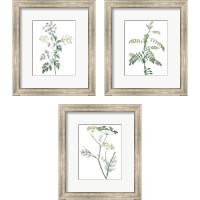 Framed Soft Green Botanical 3 Piece Framed Art Print Set