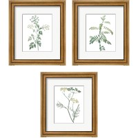 Framed 'Soft Green Botanical 3 Piece Framed Art Print Set' border=