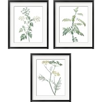 Framed 'Soft Green Botanical 3 Piece Framed Art Print Set' border=