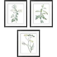 Framed Soft Green Botanical 3 Piece Framed Art Print Set