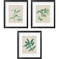 Framed 'Herbs on Burlap 3 Piece Framed Art Print Set' border=