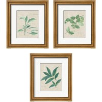 Framed Herbs on Burlap 3 Piece Framed Art Print Set