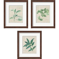 Framed 'Herbs on Burlap 3 Piece Framed Art Print Set' border=