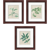 Framed 'Herbs on Burlap 3 Piece Framed Art Print Set' border=