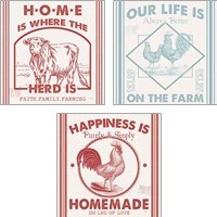 Framed Vintage Farmhouse 3 Piece Art Print Set