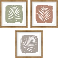 Framed 'Nature By The Lake - Frond 3 Piece Framed Art Print Set' border=