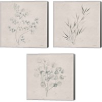 Framed Soft Summer Sketches 3 Piece Canvas Print Set