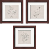 Framed 'Soft Summer Sketches 3 Piece Framed Art Print Set' border=