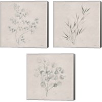 Framed 'Soft Summer Sketches 3 Piece Canvas Print Set' border=