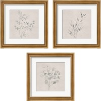 Framed 'Soft Summer Sketches 3 Piece Framed Art Print Set' border=