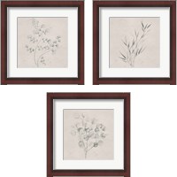 Framed Soft Summer Sketches 3 Piece Framed Art Print Set