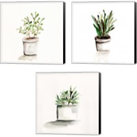 Framed 'Potted Botanicals 3 Piece Canvas Print Set' border=