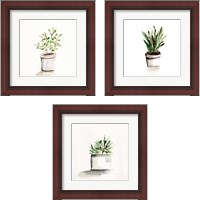 Framed 'Potted Botanicals 3 Piece Framed Art Print Set' border=