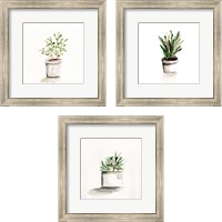 Framed 'Potted Botanicals 3 Piece Framed Art Print Set' border=
