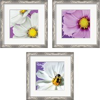 Framed 'Flower Pop 3 Piece Framed Art Print Set' border=