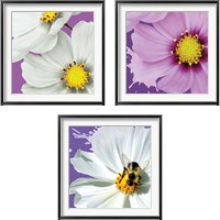 Framed 'Flower Pop 3 Piece Framed Art Print Set' border=