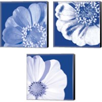 Framed 'Flower Pop blue 3 Piece Canvas Print Set' border=