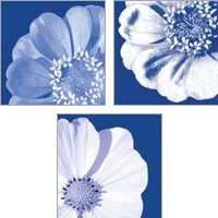 Framed 'Flower Pop blue 3 Piece Art Print Set' border=