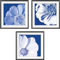 Framed Flower Pop blue 3 Piece Framed Art Print Set