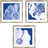 Framed 'Flower Pop blue 3 Piece Framed Art Print Set' border=