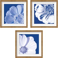 Framed Flower Pop blue 3 Piece Framed Art Print Set