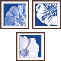 Framed 'Flower Pop blue 3 Piece Framed Art Print Set' border=