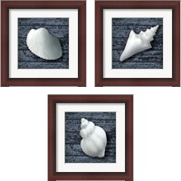 Framed 'Seashore Shells Navy 3 Piece Framed Art Print Set' border=