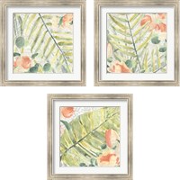 Framed Palm Garden 3 Piece Framed Art Print Set